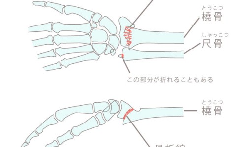 妙思乐三款面霜的区别-妙思乐成分安全吗、妙思乐膏和霜哪个好 -妙思乐营养修护冷霜网